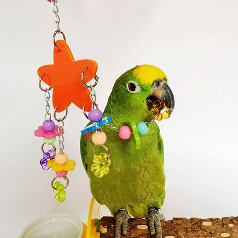 Bird Pet Stand Swing Chewing Beads Stars Flowers Shape Parrot Hanging Play Toy