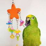 Bird Pet Stand Swing Chewing Beads Stars Flowers Shape Parrot Hanging Play Toy