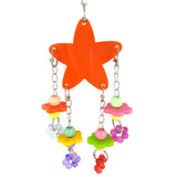 Bird Pet Stand Swing Chewing Beads Stars Flowers Shape Parrot Hanging Play Toy