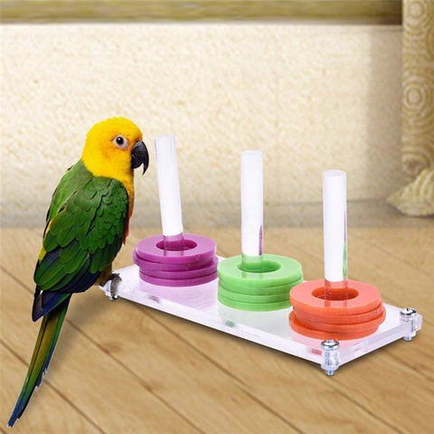 Colorful Ring Circle Birds Pet Parrots Playing Separating Game Chewing Fun Toy