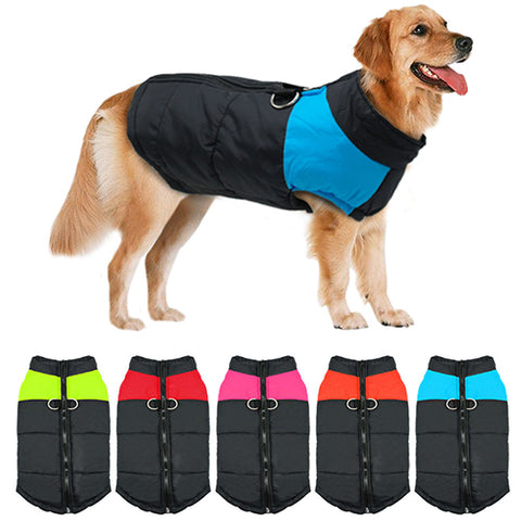 Winter Warm Dog Padded Zipper D-Ring Coat Pet Skiing Clothing for Large Dog