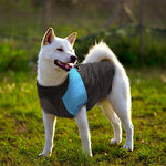 Winter Warm Dog Padded Zipper D-Ring Coat Pet Skiing Clothing for Large Dog