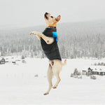 Winter Warm Dog Padded Zipper D-Ring Coat Pet Skiing Clothing for Large Dog