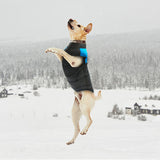 Winter Warm Dog Padded Zipper D-Ring Coat Pet Skiing Clothing for Large Dog