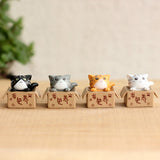 Lovely Box Cartoon Cat Miniature Landscape Decor Bonsai Resin Crafts Ornament