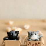 Lovely Box Cartoon Cat Miniature Landscape Decor Bonsai Resin Crafts Ornament