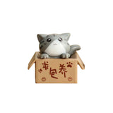 Lovely Box Cartoon Cat Miniature Landscape Decor Bonsai Resin Crafts Ornament