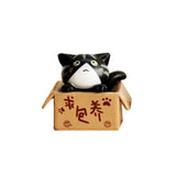 Lovely Box Cartoon Cat Miniature Landscape Decor Bonsai Resin Crafts Ornament