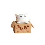 Lovely Box Cartoon Cat Miniature Landscape Decor Bonsai Resin Crafts Ornament