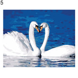 Colorful Animals Cat Swan Butterfly DIY Oil Painting By Numbers Wall Art Decor
