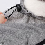 Cat Recovery Suit for Sterilization Care Wipe Medicine Prevent Lick