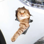 Funny 3D Peeking Cat Car-Styling Vehicle Body Scratch Decals Sticker Decoration
