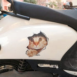 Funny 3D Peeking Cat Car-Styling Vehicle Body Scratch Decals Sticker Decoration